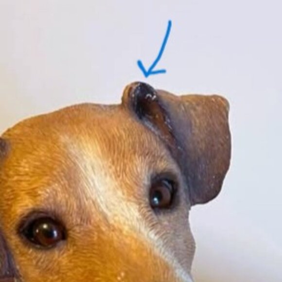 SANDICAST Original Size Jack Russell Terrier Sculpture 1992 VGUC - Picture 6 of 7